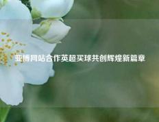 亚博网站合作英超买球共创辉煌新篇章