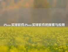 iPhone买球软件iPhone买球软件的探索与应用