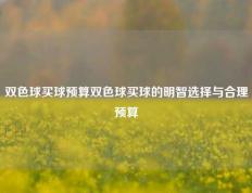 双色球买球预算双色球买球的明智选择与合理预算
