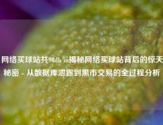网络买球站共98db in揭秘网络买球站背后的惊天秘密 - 从数据库泄露到黑市交易的全过程分析