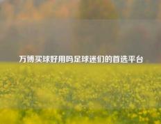 万博买球好用吗足球迷们的首选平台