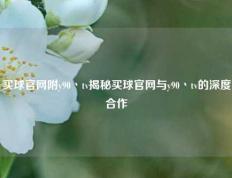 买球官网附y90丶tv揭秘买球官网与y90丶tv的深度合作