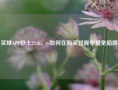 买球APP砂土22yb。tv如何在购买过程中避免陷阱