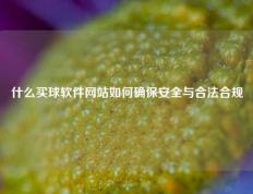 什么买球软件网站如何确保安全与合法合规