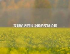 买球论坛寻找中国的买球论坛