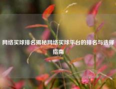 网络买球排名揭秘网络买球平台的排名与选择指南