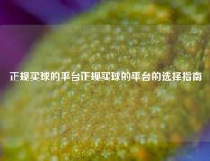 正规买球的平台正规买球的平台的选择指南