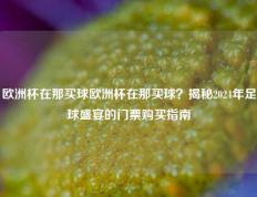 欧洲杯在那买球欧洲杯在那买球？揭秘2024年足球盛宴的门票购买指南