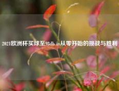 2021欧洲杯买球至98db in从零开始的挑战与胜利