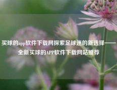 买球的app软件下载网探索足球迷的新选择——全新买球的APP软件下载网站推荐