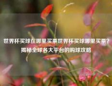 世界杯买球在哪里买票世界杯买球哪里买票？揭秘全球各大平台的购球攻略