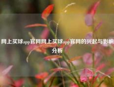 网上买球app官网网上买球app官网的兴起与影响分析