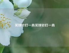 买球针打一肖买球针打一肖