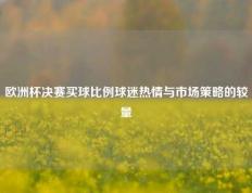 欧洲杯决赛买球比例球迷热情与市场策略的较量
