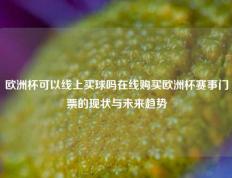 欧洲杯可以线上买球吗在线购买欧洲杯赛事门票的现状与未来趋势