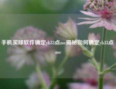 手机买球软件确定yb33点me揭秘如何确定yb33点 me