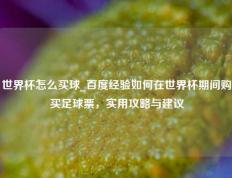 世界杯怎么买球_百度经验如何在世界杯期间购买足球票，实用攻略与建议