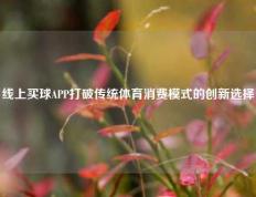 线上买球APP打破传统体育消费模式的创新选择