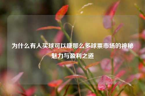 为什么有人买球可以赚那么多球票市场的神秘魅力与盈利之道
