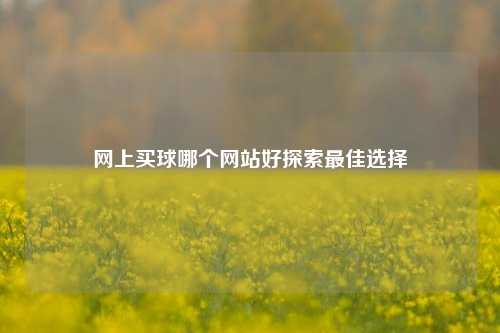 网上买球哪个网站好探索最佳选择