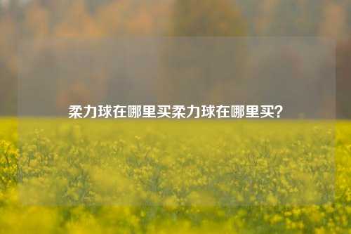 柔力球在哪里买柔力球在哪里买？
