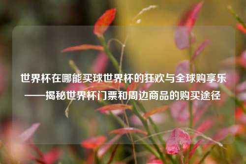 世界杯在哪能买球世界杯的狂欢与全球购享乐——揭秘世界杯门票和周边商品的购买途径