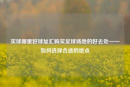 买球哪里好球址汇购买足球场地的好去处——如何选择合适的地点