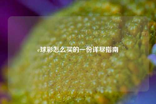 e球彩怎么买的一份详尽指南