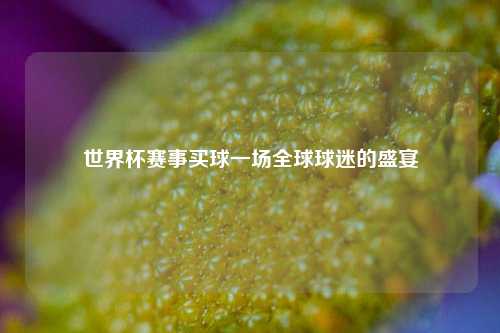 世界杯赛事买球一场全球球迷的盛宴