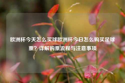 欧洲杯今天怎么买球欧洲杯今日怎么购买足球票？详解购票流程与注意事项
