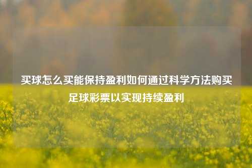 买球怎么买能保持盈利如何通过科学方法购买足球彩票以实现持续盈利