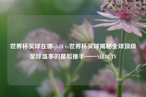 世界杯买球在哪sjb18 tv世界杯买球揭秘全球顶级足球盛事的幕后推手——SJB18 TV