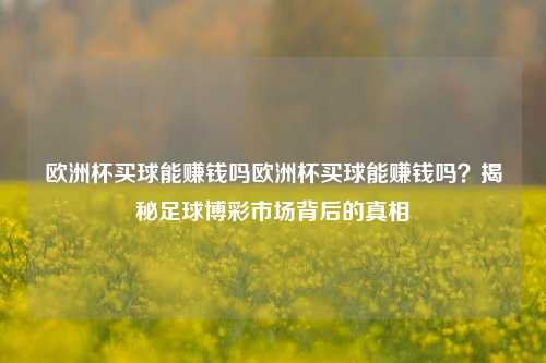 欧洲杯买球能赚钱吗欧洲杯买球能赚钱吗？揭秘足球博彩市场背后的真相