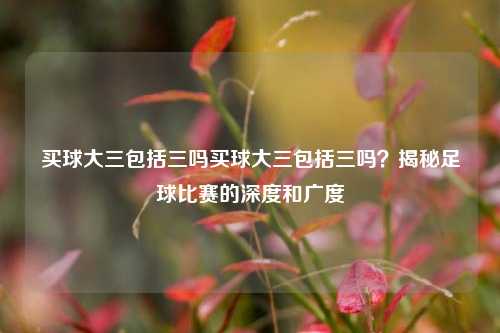 买球大三包括三吗买球大三包括三吗？揭秘足球比赛的深度和广度