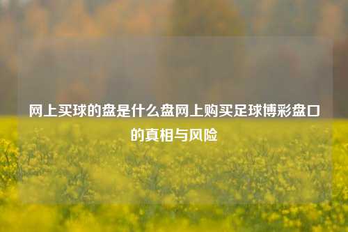 网上买球的盘是什么盘网上购买足球博彩盘口的真相与风险