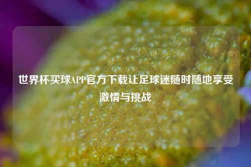世界杯买球APP官方下载让足球迷随时随地享受激情与挑战