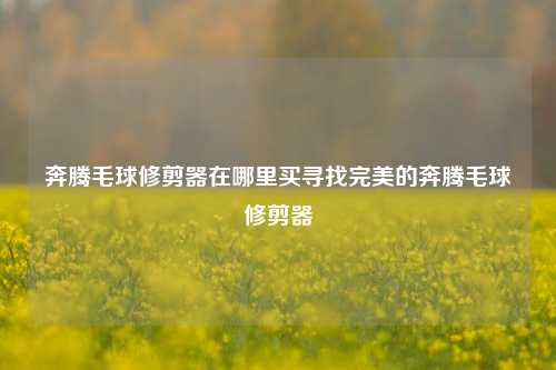 奔腾毛球修剪器在哪里买寻找完美的奔腾毛球修剪器