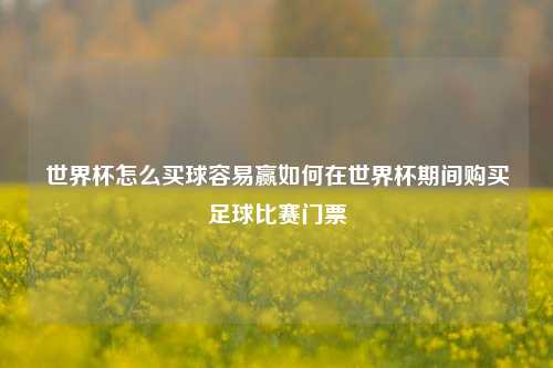 世界杯怎么买球容易赢如何在世界杯期间购买足球比赛门票