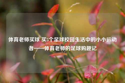 体育老师买球 买5个足球校园生活中的小小运动者——体育老师的足球购趣记