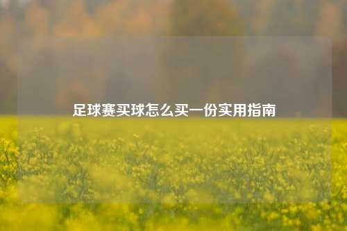 足球赛买球怎么买一份实用指南