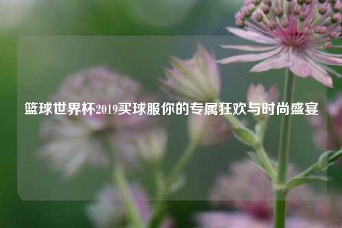 篮球世界杯2019买球服你的专属狂欢与时尚盛宴