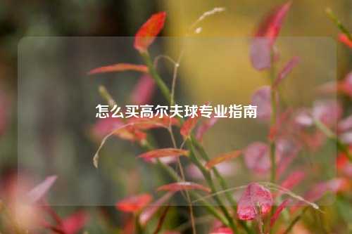 怎么买高尔夫球专业指南