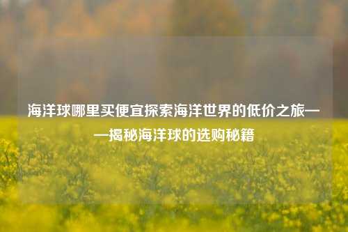 海洋球哪里买便宜探索海洋世界的低价之旅——揭秘海洋球的选购秘籍