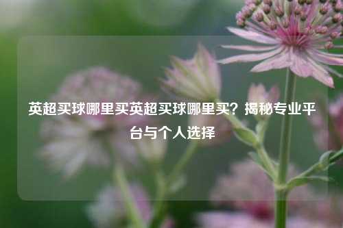 英超买球哪里买英超买球哪里买？揭秘专业平台与个人选择