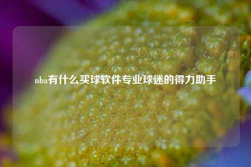 nba有什么买球软件专业球迷的得力助手