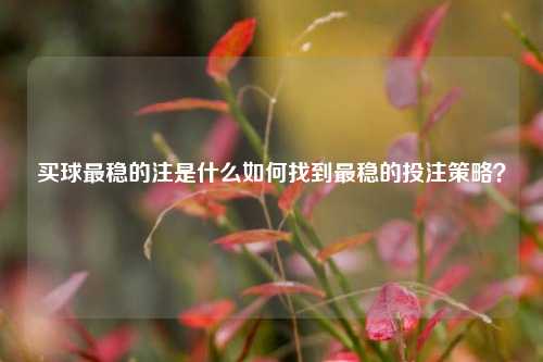 买球最稳的注是什么如何找到最稳的投注策略？