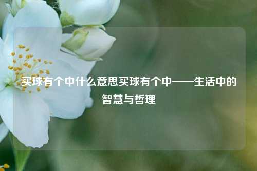 买球有个中什么意思买球有个中——生活中的智慧与哲理