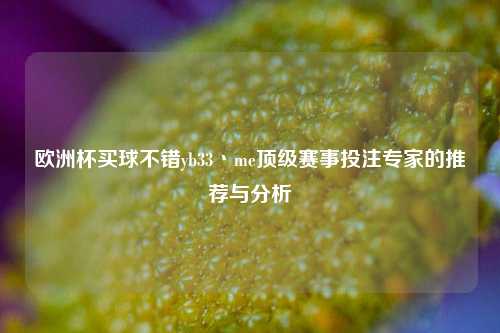 欧洲杯买球不错yb33丶me顶级赛事投注专家的推荐与分析