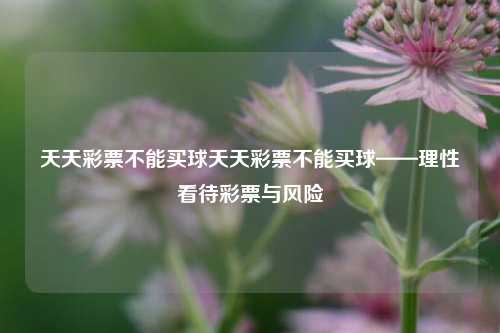 天天彩票不能买球天天彩票不能买球——理性看待彩票与风险