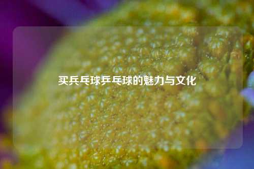 买兵乓球乒乓球的魅力与文化